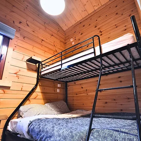 Mandoline * Petit Mesnil